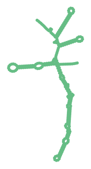 Consensus structure of IRESG124