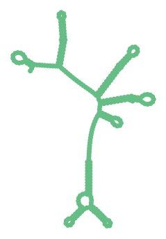 Consensus structure of IRESG125