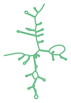 Consensus structure of IRESG128