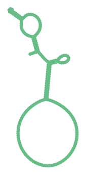 Consensus structure of IRESG129