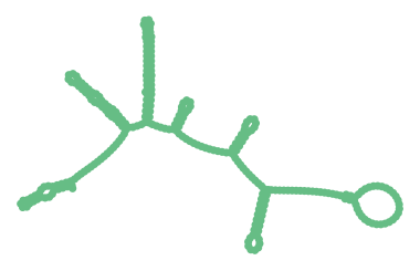 Consensus structure of IRESG133