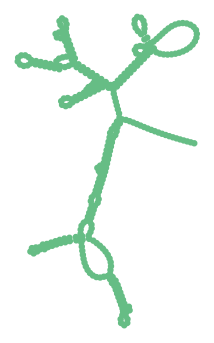 Consensus structure of IRESG135