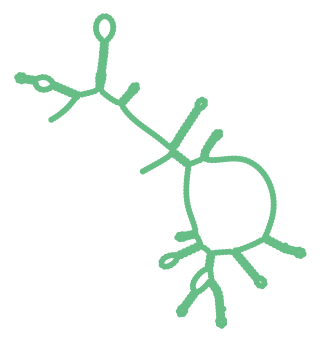Consensus structure of IRESG136