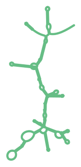 Consensus structure of IRESG140
