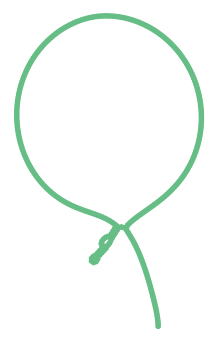 Consensus structure of IRESG141