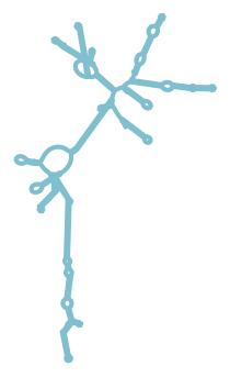 Consensus structure of IRESG142