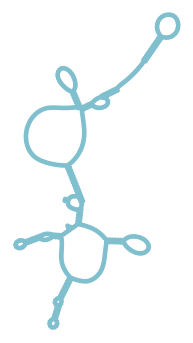 Consensus structure of IRESG143