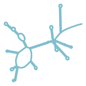 Consensus structure of IRESG145