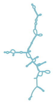 Consensus structure of IRESG147