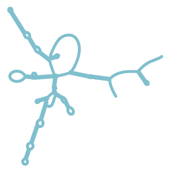 Consensus structure of IRESG148