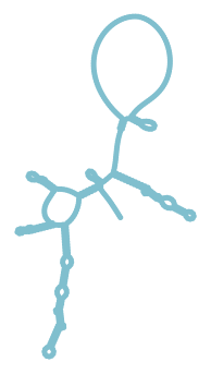 Consensus structure of IRESG149