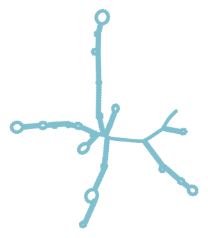 Consensus structure of IRESG150