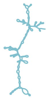 Consensus structure of IRESG153