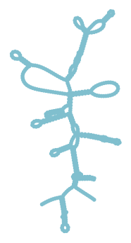 Consensus structure of IRESG156