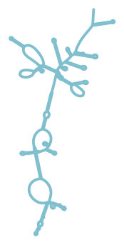 Consensus structure of IRESG159