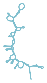 Consensus structure of IRESG162