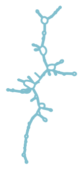 Consensus structure of IRESG163