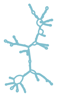 Consensus structure of IRESG164