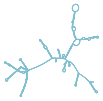 Consensus structure of IRESG165
