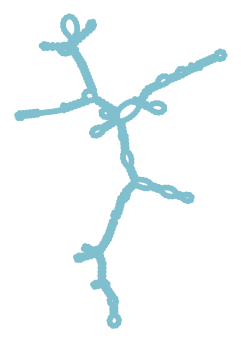 Consensus structure of IRESG167