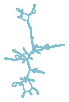 Consensus structure of IRESG169