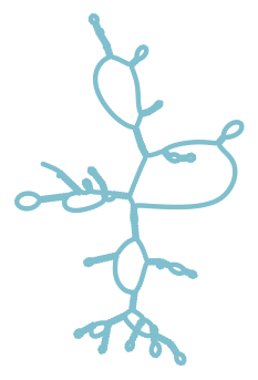 Consensus structure of IRESG170