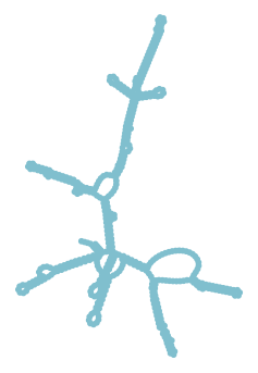 Consensus structure of IRESG171