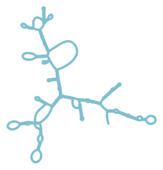 Consensus structure of IRESG172