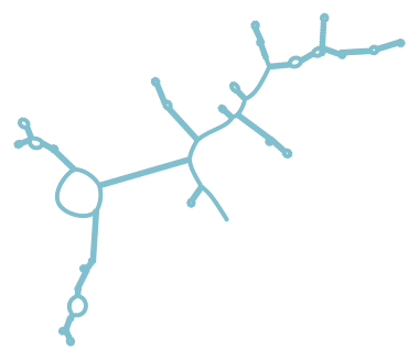 Consensus structure of IRESG174