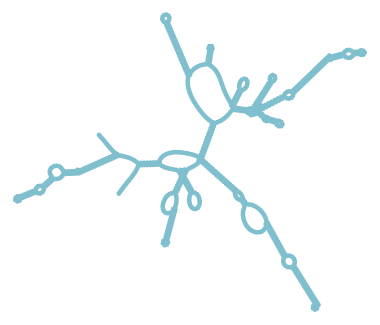Consensus structure of IRESG175