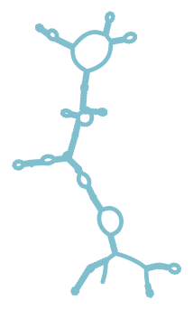 Consensus structure of IRESG176