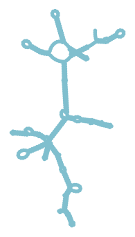 Consensus structure of IRESG177