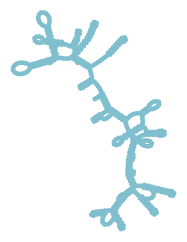 Consensus structure of IRESG178