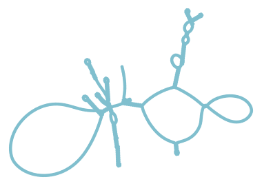 Consensus structure of IRESG182