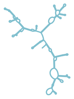 Consensus structure of IRESG183