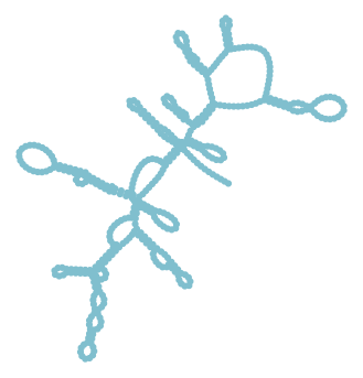 Consensus structure of IRESG184