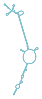 Consensus structure of IRESG185