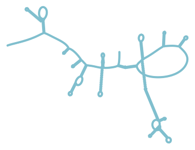 Consensus structure of IRESG186