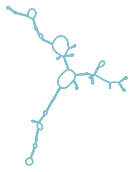Consensus structure of IRESG187