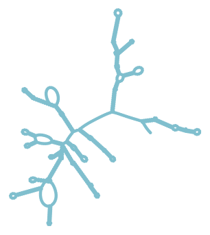 Consensus structure of IRESG188