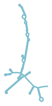 Consensus structure of IRESG189