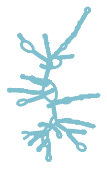 Consensus structure of IRESG191