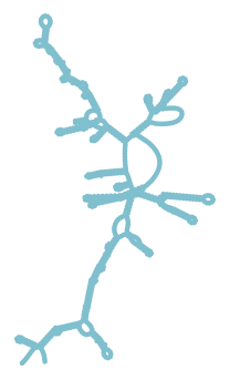 Consensus structure of IRESG194