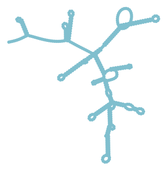 Consensus structure of IRESG195