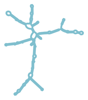 Consensus structure of IRESG196