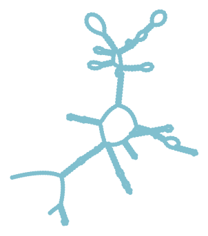 Consensus structure of IRESG198