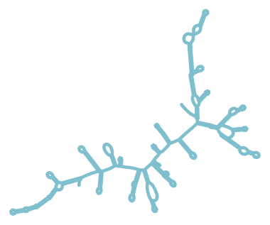 Consensus structure of IRESG200