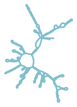 Consensus structure of IRESG201