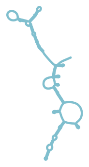Consensus structure of IRESG202