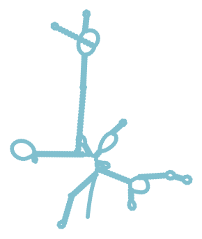 Consensus structure of IRESG203